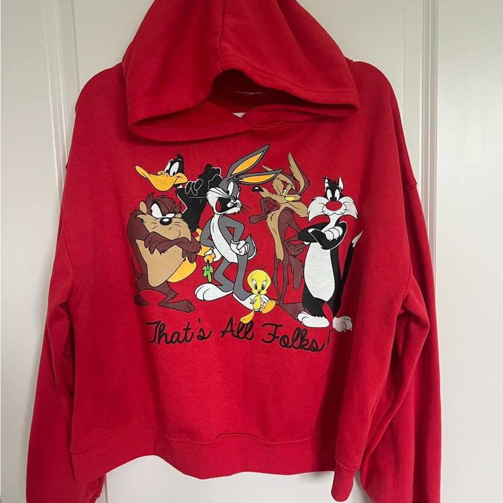 Looney Tunes Warner Brothers sweatshirt hoodie jacket